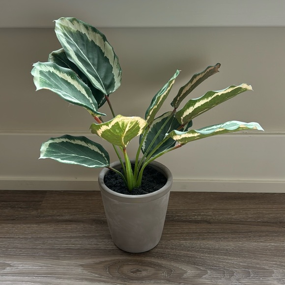 Hearth & Hand with Magnolia Faux Calathea Ceramic Potted Plant - Picture 2 of 6